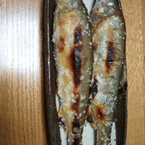 シンプル一番　鮎の塩焼き